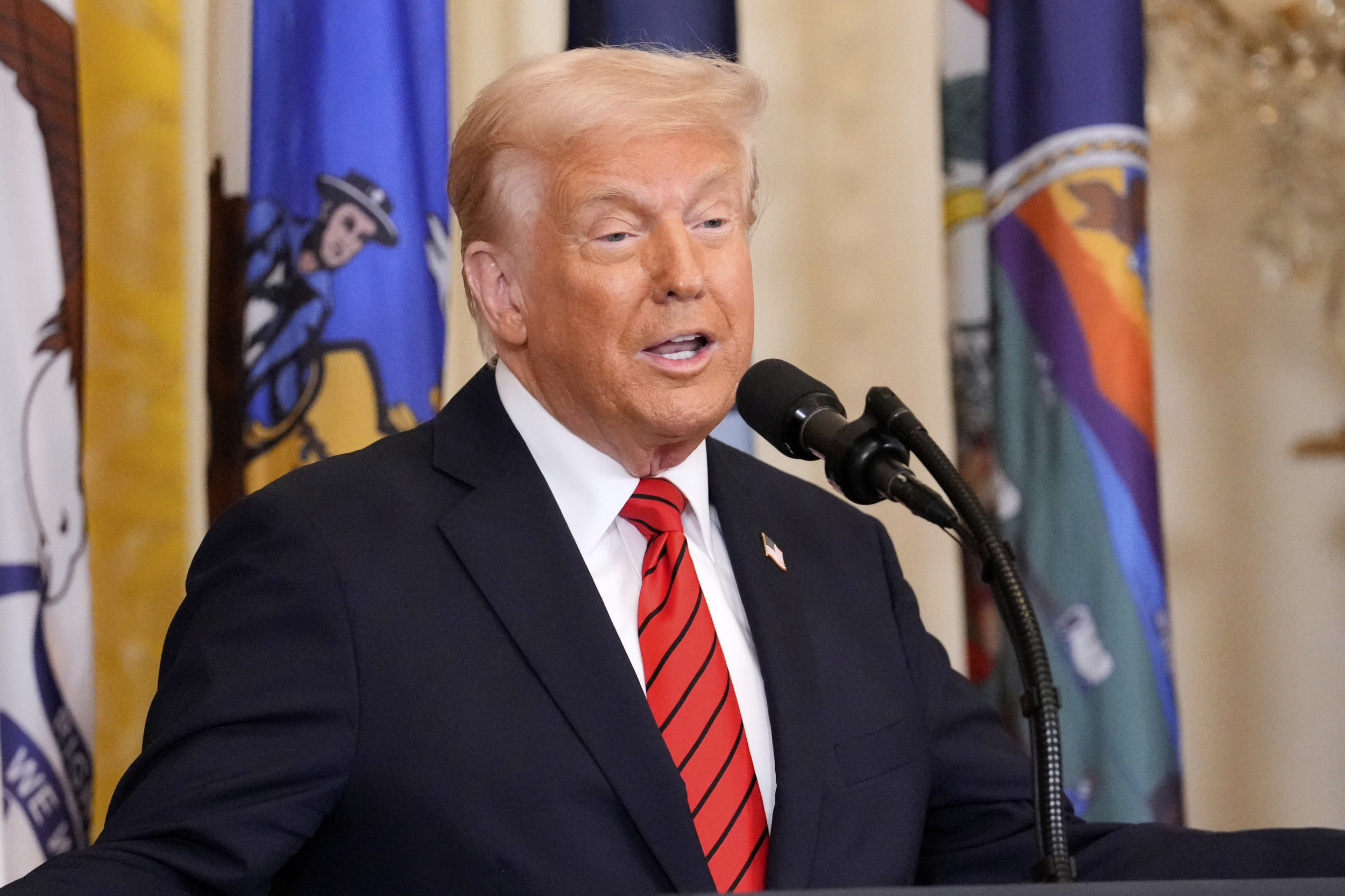 Donald Trump Issues Jail Warning to Tesla Vandals