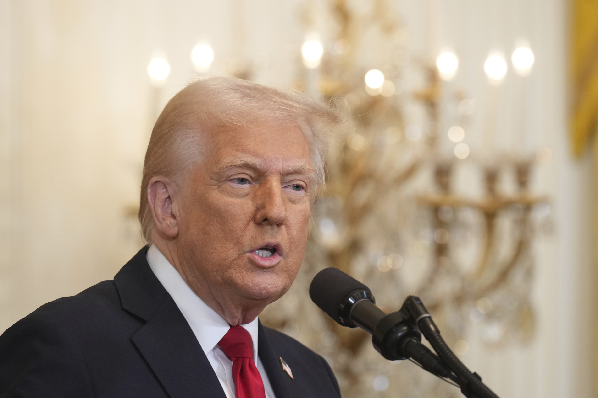 Donald Trump Suffers Legal Blow Over Mass Federal Worker Cuts