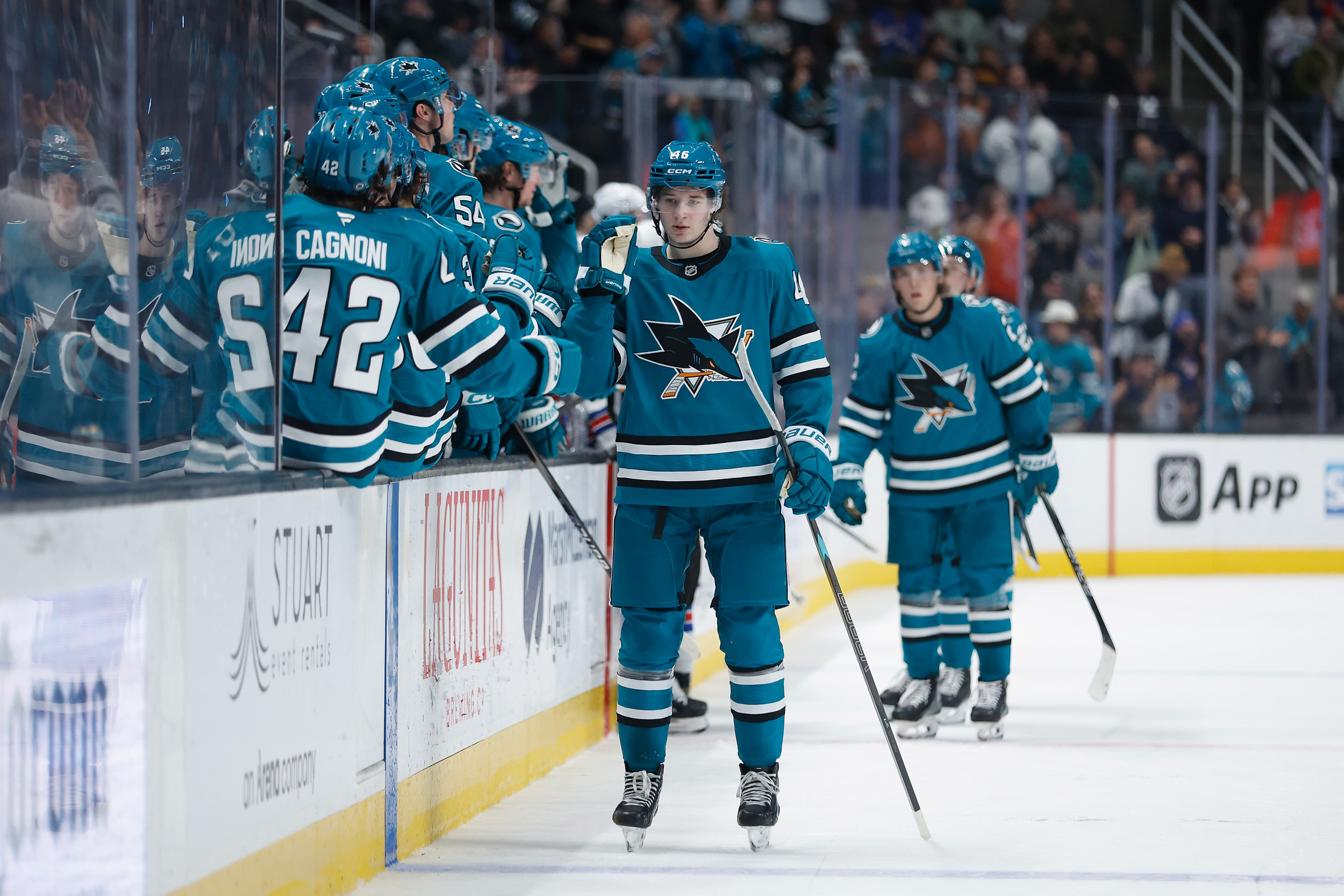 How to Watch Sharks vs Kings: Live Stream NHL, TV Channel