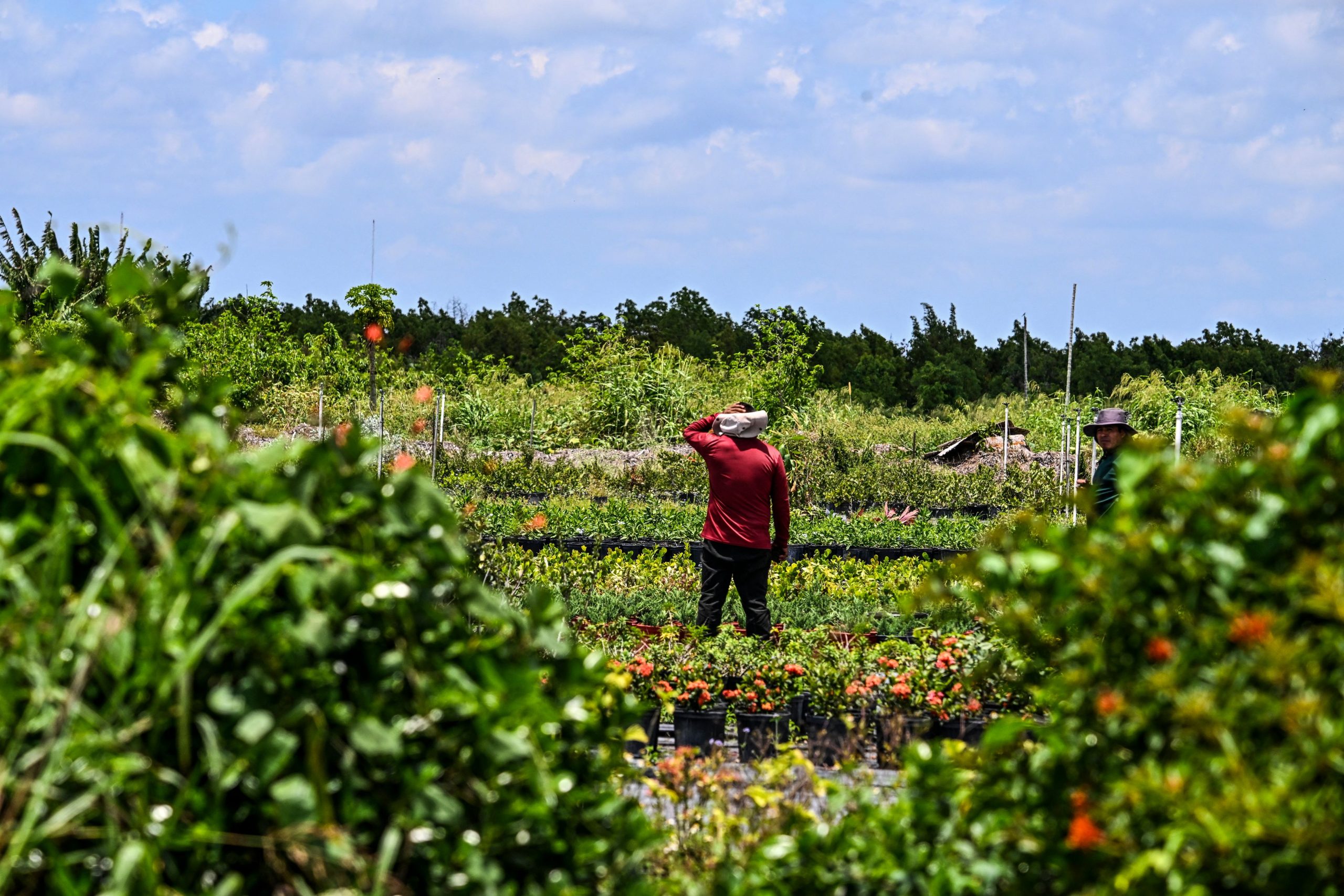 How Legal Immigrants Could Boost US Economy