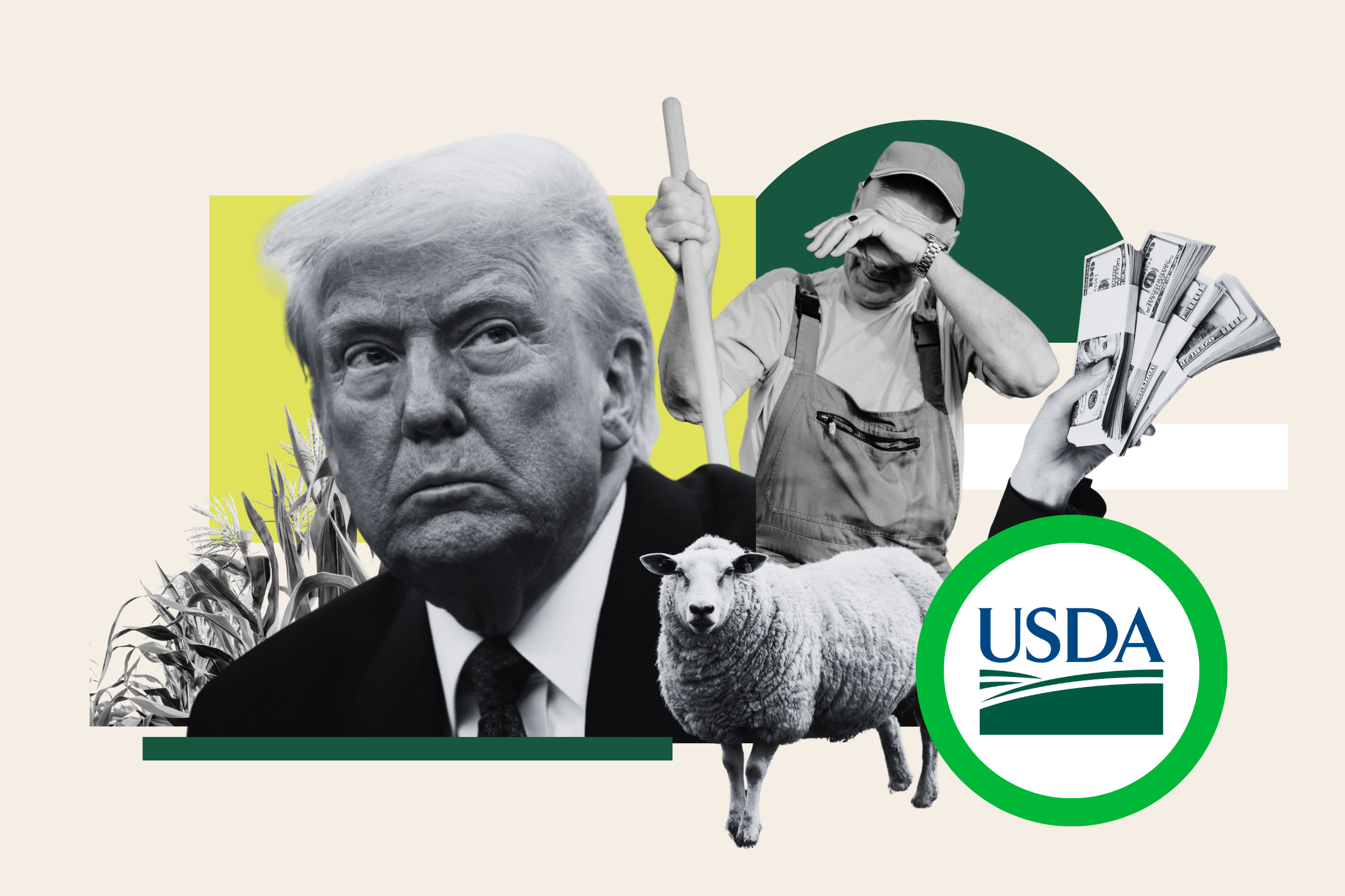 Farmers Hurt by Funding Freeze Sue Trump Administration for Climate Grants