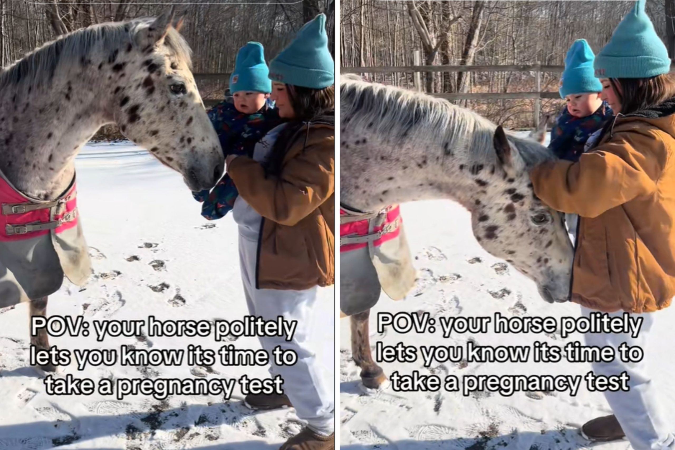 Woman Takes Pregnancy Test After Horse Acts Strangely, Shocked at Result