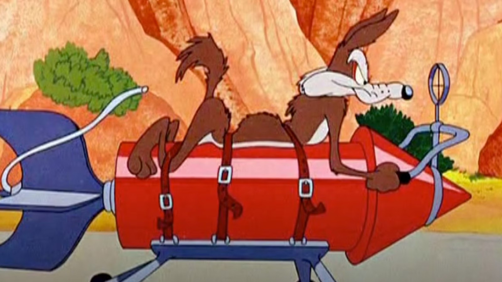 ‘Coyote vs. Acme’ – Everything We Know So Far