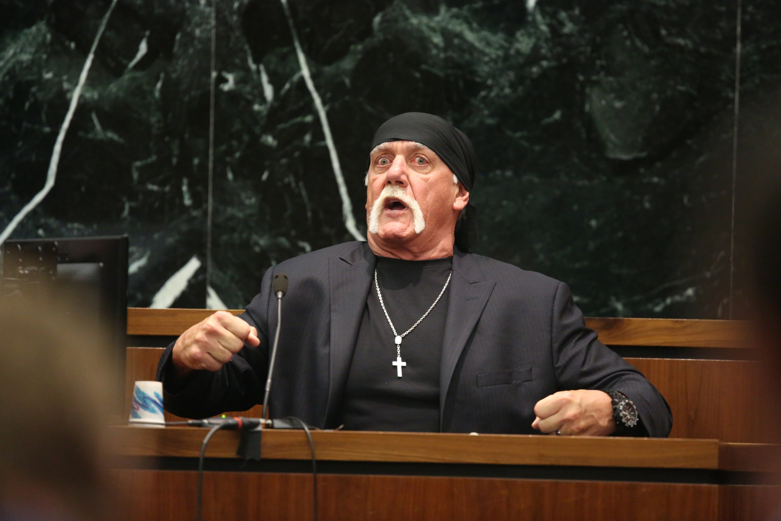 WWE Veteran Says Hulk Hogan ‘Disqualified’ From Pro Wrestling Mount Rushmore