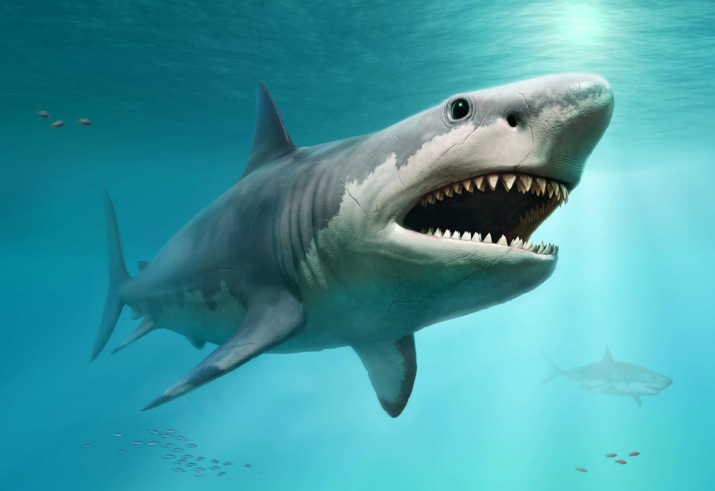 Megalodon: Largest Ever Shark’s Diet Surprises Geoscientists