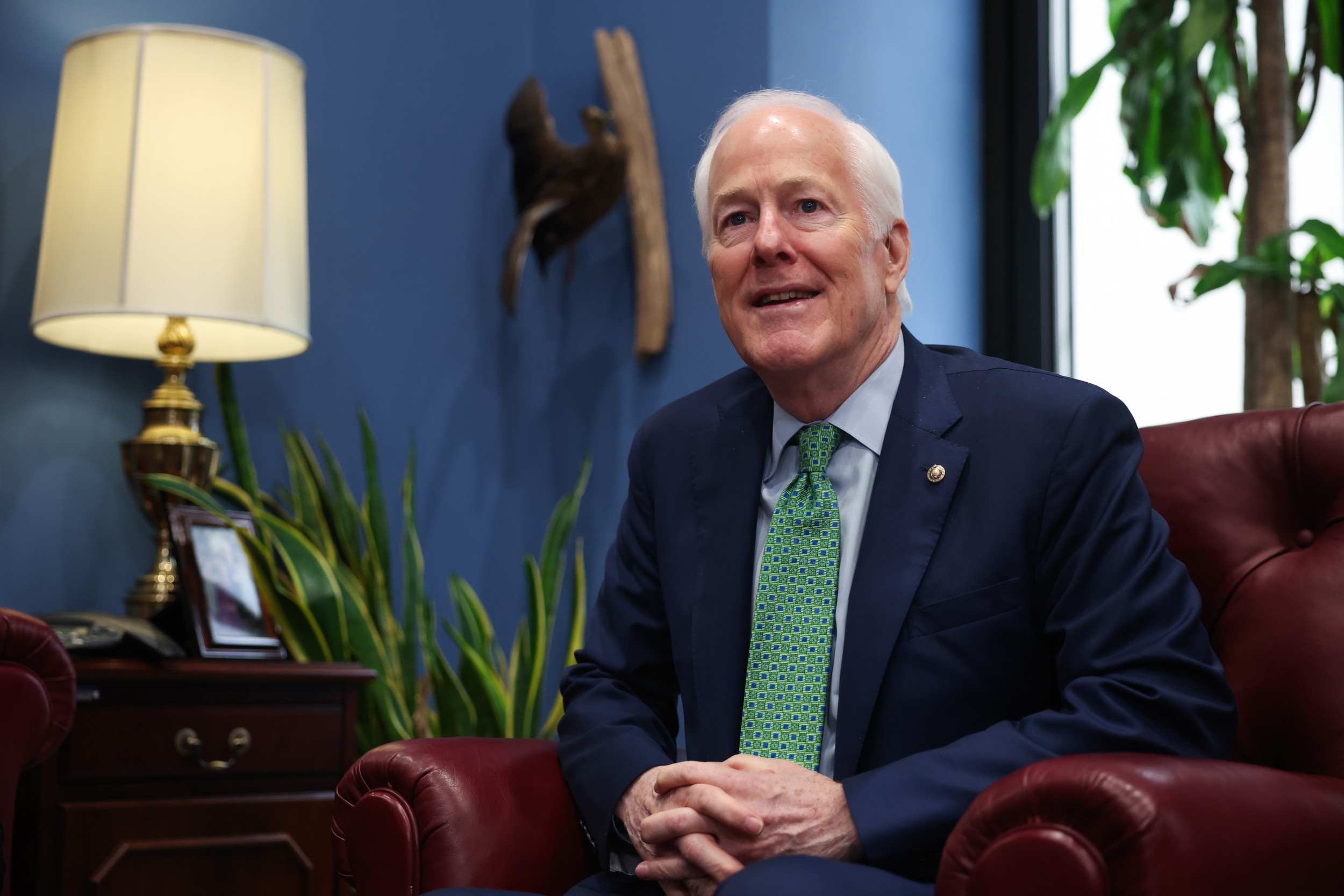 GOP Senators Worried About Losing Republican Seat in Texas: What Polls Show
